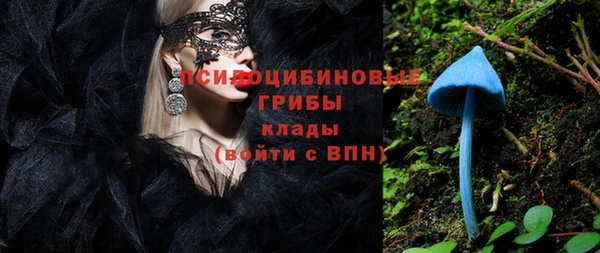 не бодяженный Кулебаки