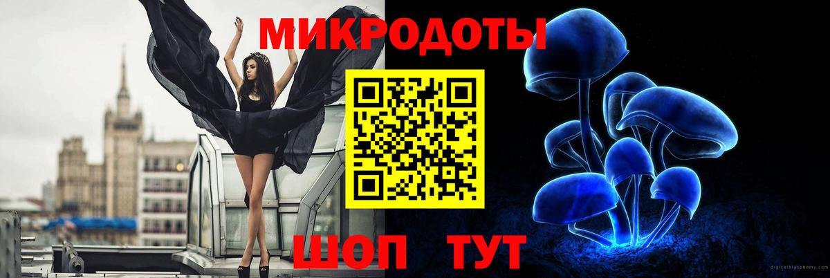 Псилоцибиновые грибы MAGIC MUSHROOMS Добрянка