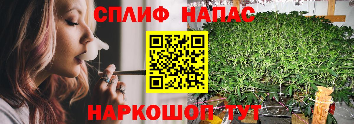 Бошки Шишки планчик  Канабис SATIVA & INDICA  Бошки марихуана марихуана  Добрянка  Канабис марихуана 